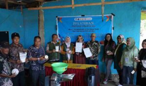 Inovasi Lokal: Universitas Wira Bhakti Kembangkan Hortikultura Tana Toraja dan Pangkep Lewat Kosabangsa