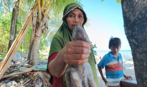 Gurita hasil tangkapan nelayan di Pulau Lanjukang