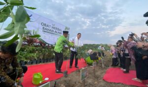 Taruna Ikrar: Menanam Pohon, Membangun Masa Depan; BPOM Resmikan Pusat Tanaman Obat Berbasis Pesantren di palembang